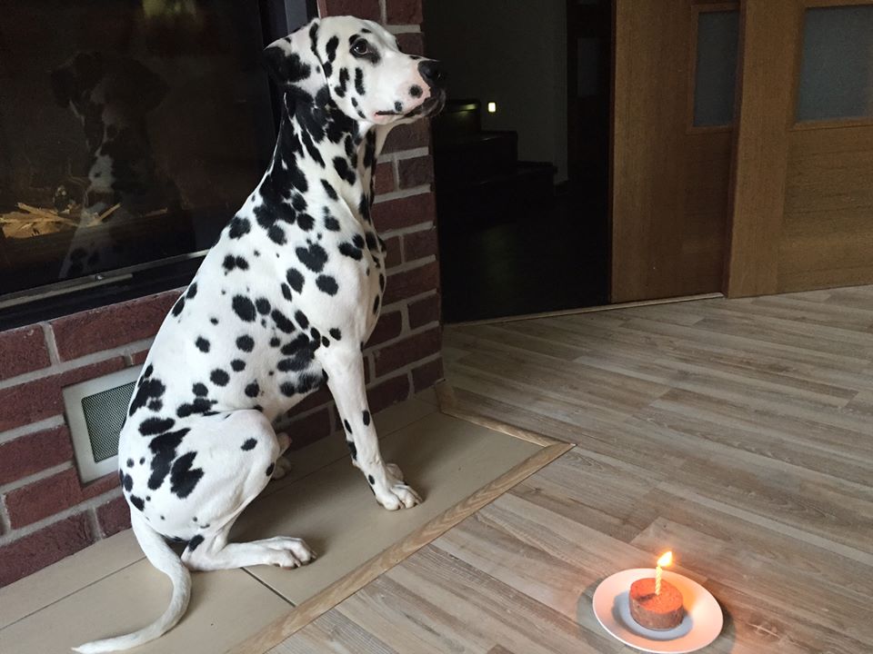 simon (2)
